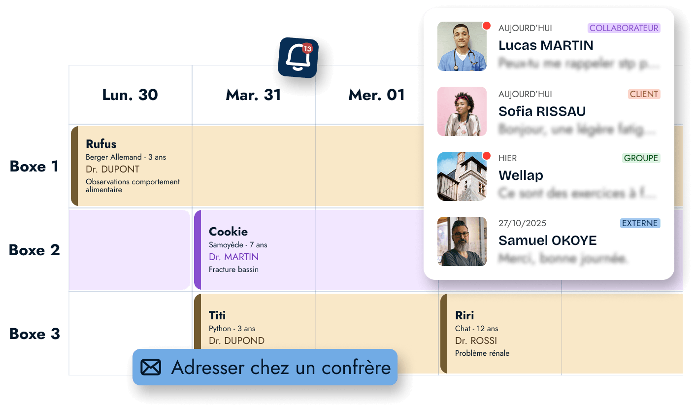 L'interface Wellap pour les vétérinaires